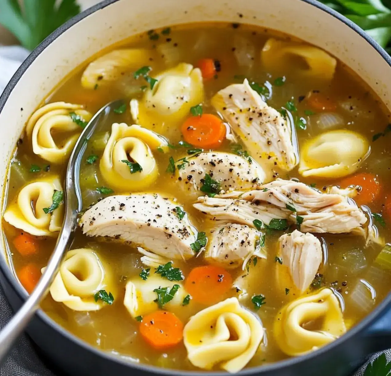 A pot of chicken soup containing shredded chicken, carrots, tortellini, and garnished with chopped parsley.